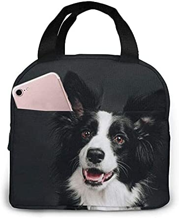 Túi Đựng Đồ Ăn Trưa Trẻ Trung  - đánh giá và giá Tote Bag Sublimation